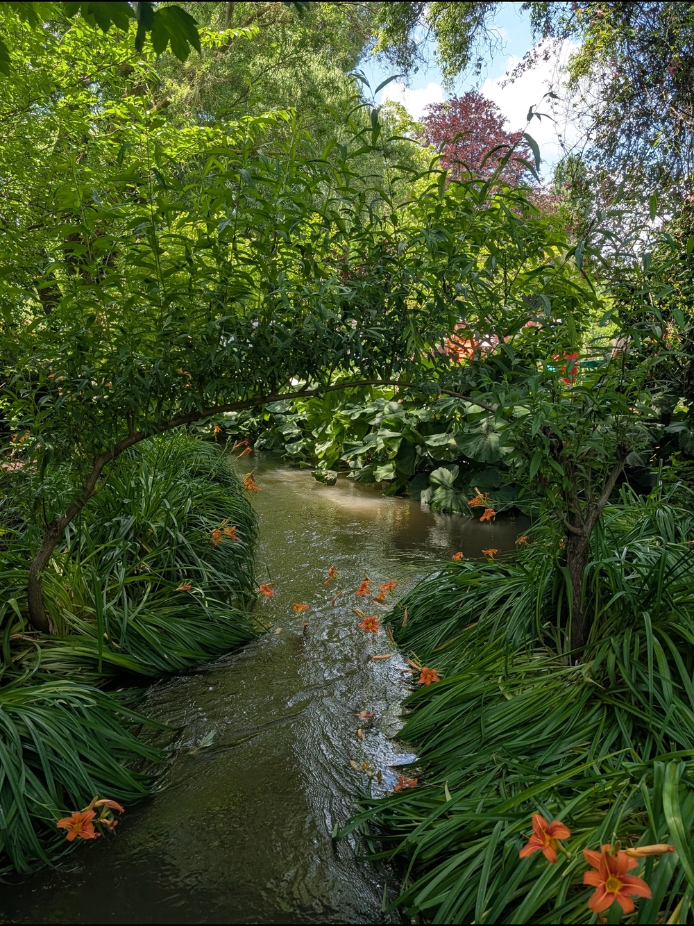 🌿